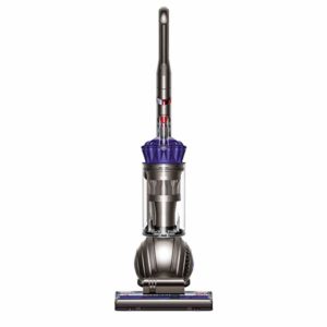 dyson animal ii