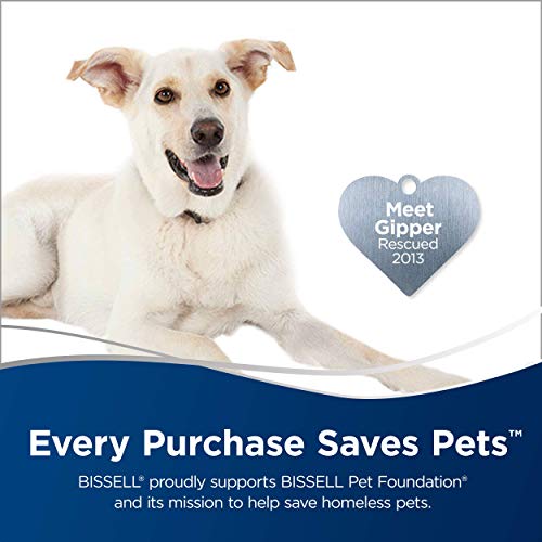 Best Vacuum For A Camper