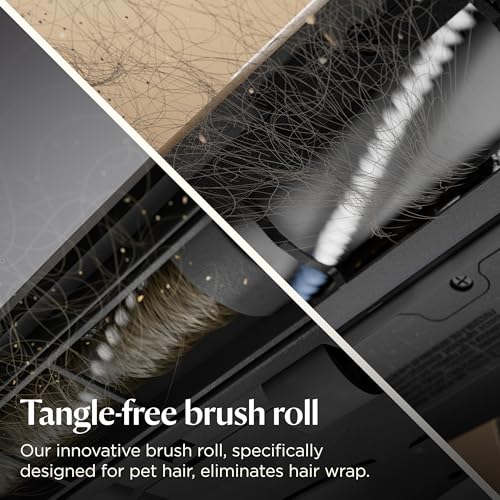 Best Vacuum Cleaner For Pet Hair On Wood Floors