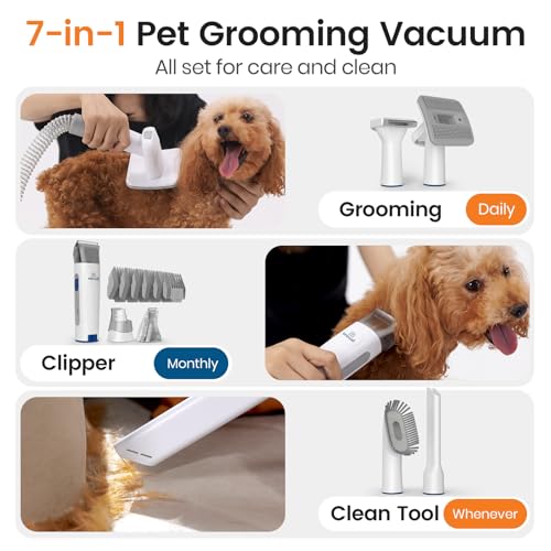 Best Vacuum For Husky Hair