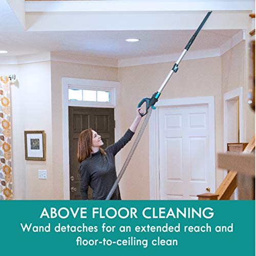 Best Bagged Upright Vacuum