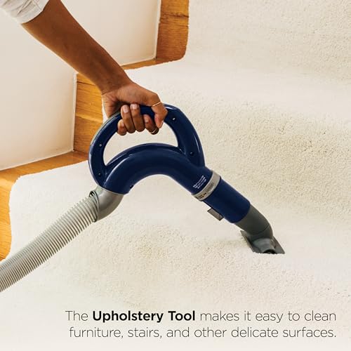 Best Vacuum For Thick Rugs